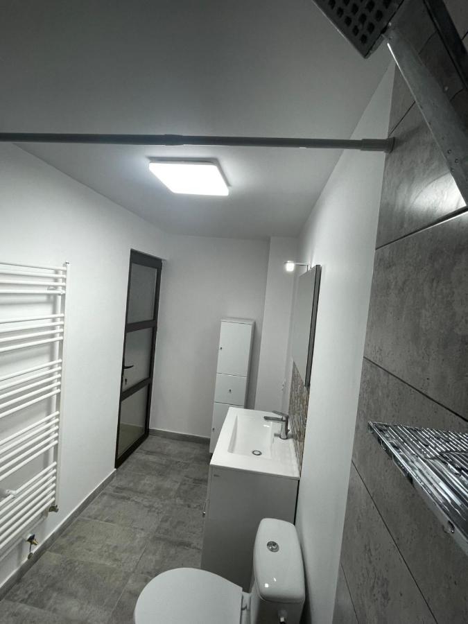 Casa Dan Daire Buzău Dış mekan fotoğraf