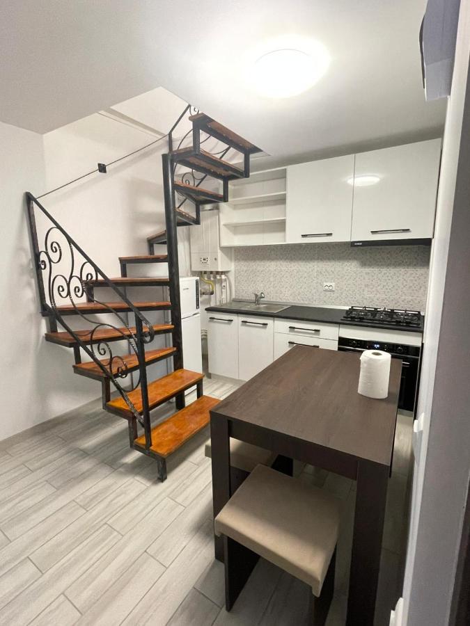 Casa Dan Daire Buzău Dış mekan fotoğraf
