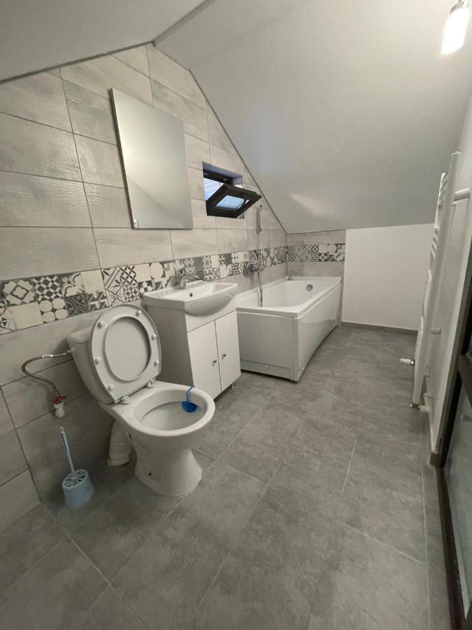 Casa Dan Daire Buzău Dış mekan fotoğraf