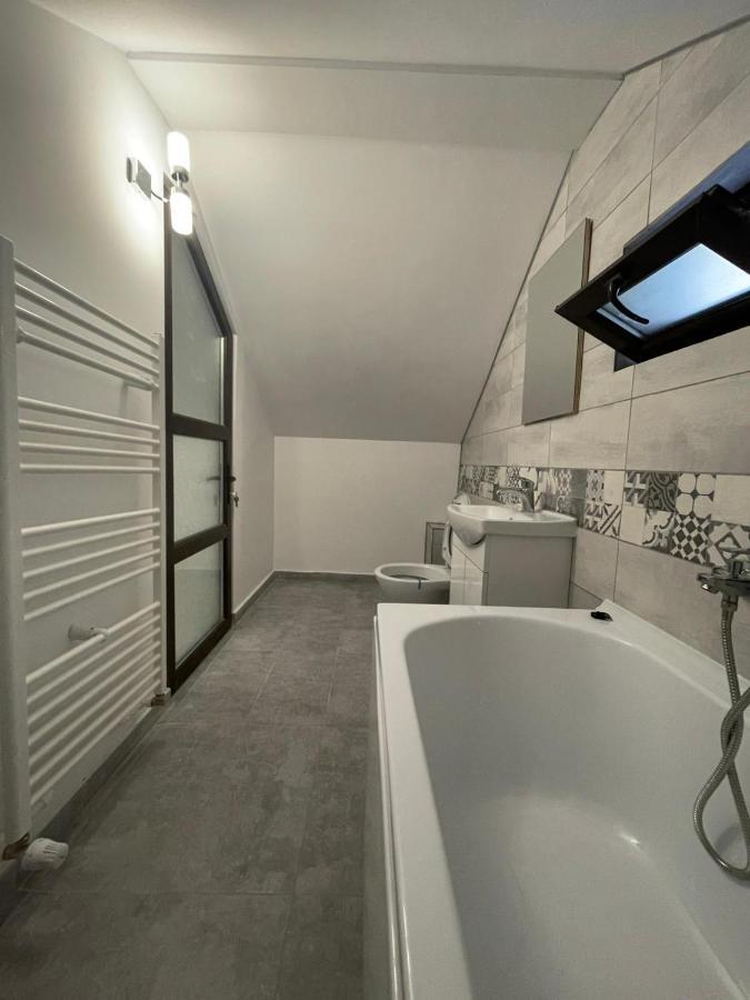 Casa Dan Daire Buzău Dış mekan fotoğraf